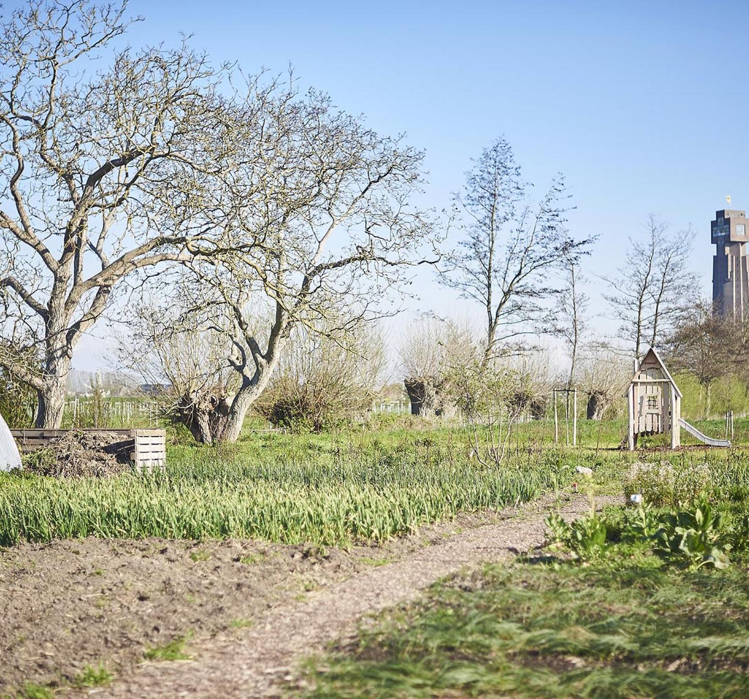 de moestuin met zicht op de ijzertoren