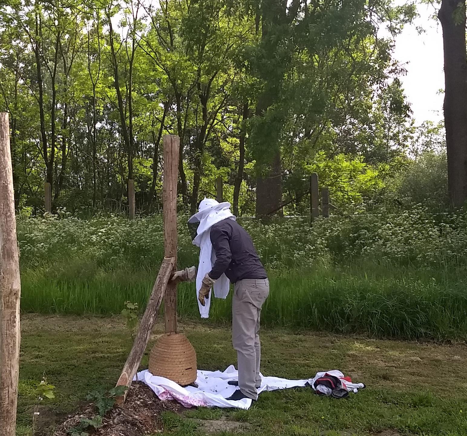 de imker verzamelt de laatste bijen in de bijenkorf