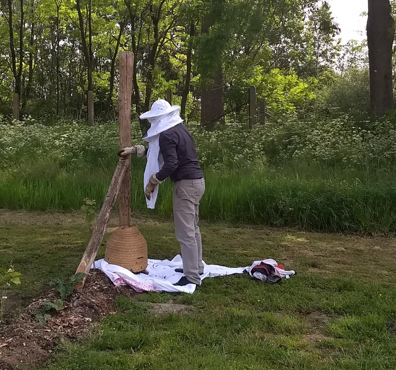 de imker verzamelt de laatste bijen in de bijenkorf