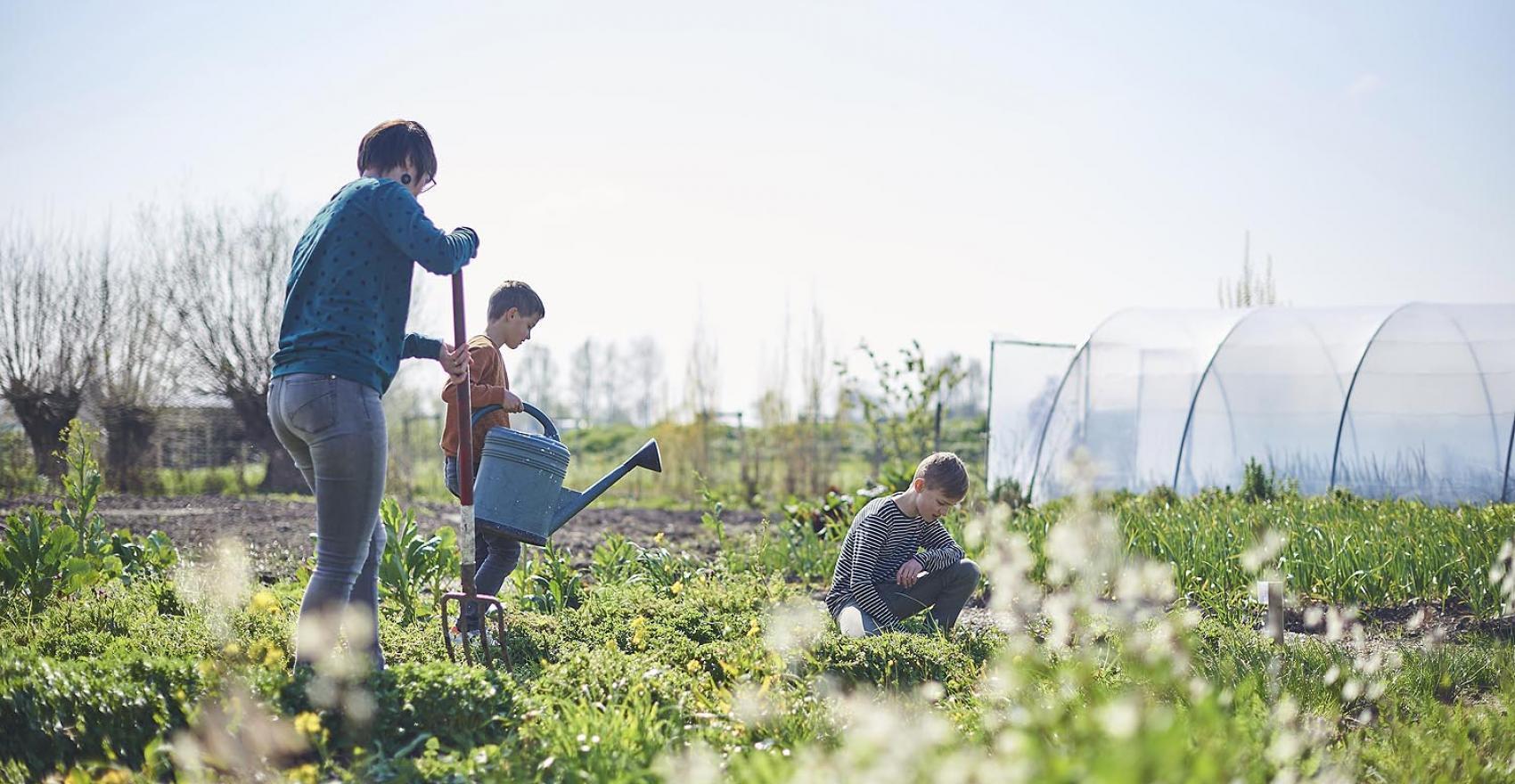 moeder met kinderen aan het werk in de moestuin